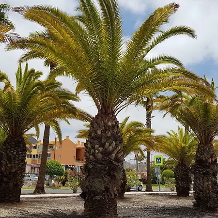 Los Cristianos Valdes Center 5 Apartment